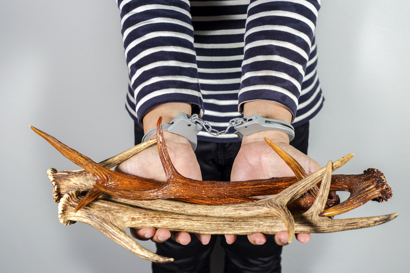 Cutting-Edge Methods for Disposing of Cardboard and Packaging